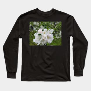 Wet White Tree Flowers 1 Long Sleeve T-Shirt